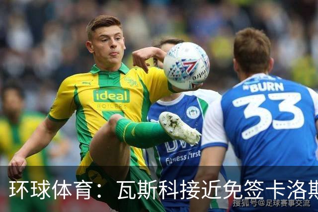 环球体育：瓦斯科接近免签卡洛斯-维尼修斯